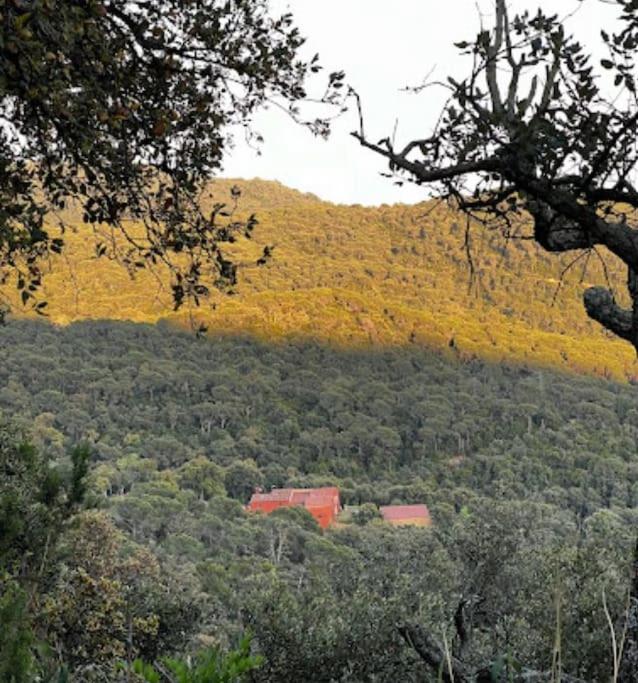 Masia Can Castellar Sant Iscle De Vallalta Exteriér fotografie